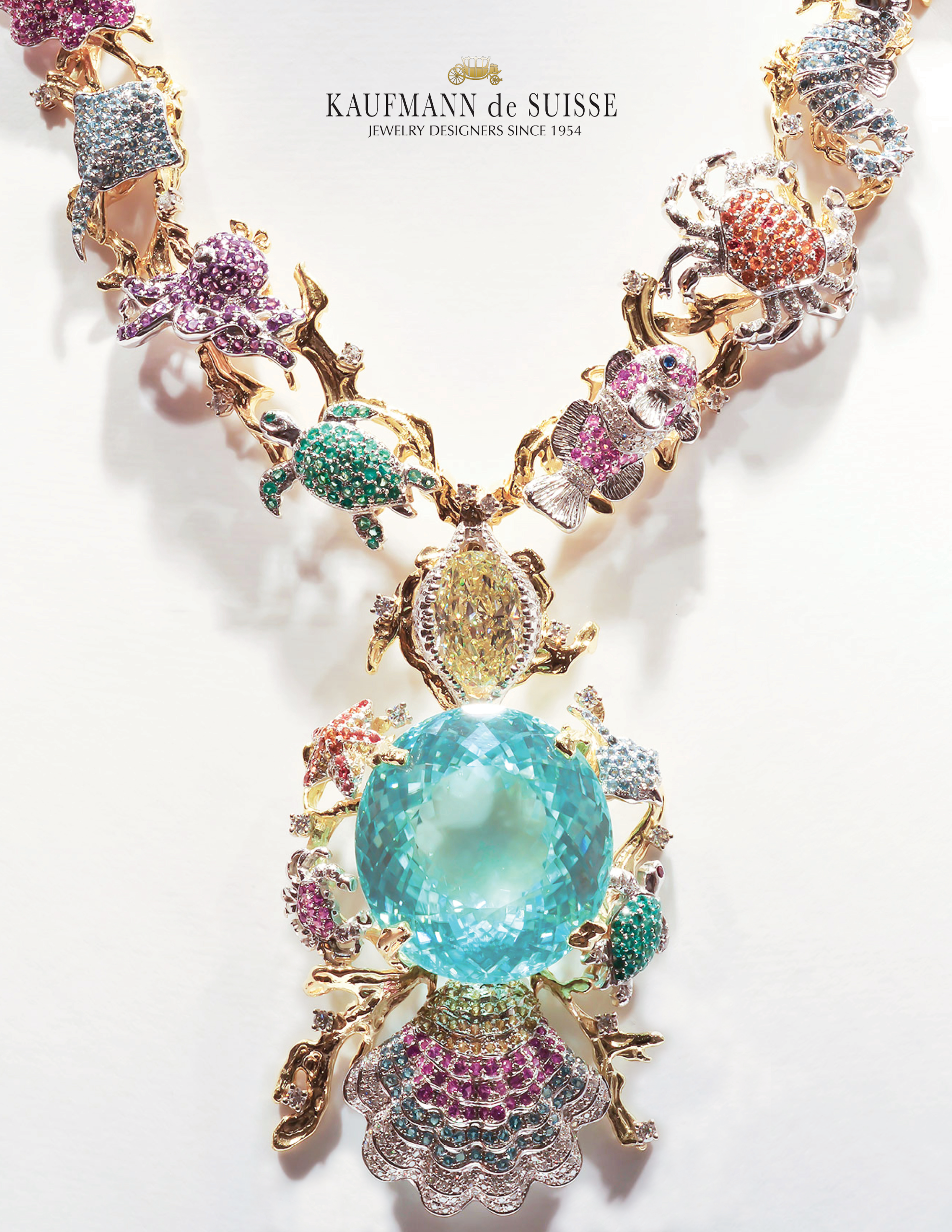 Paraiba-Cutout-Edited-nologo