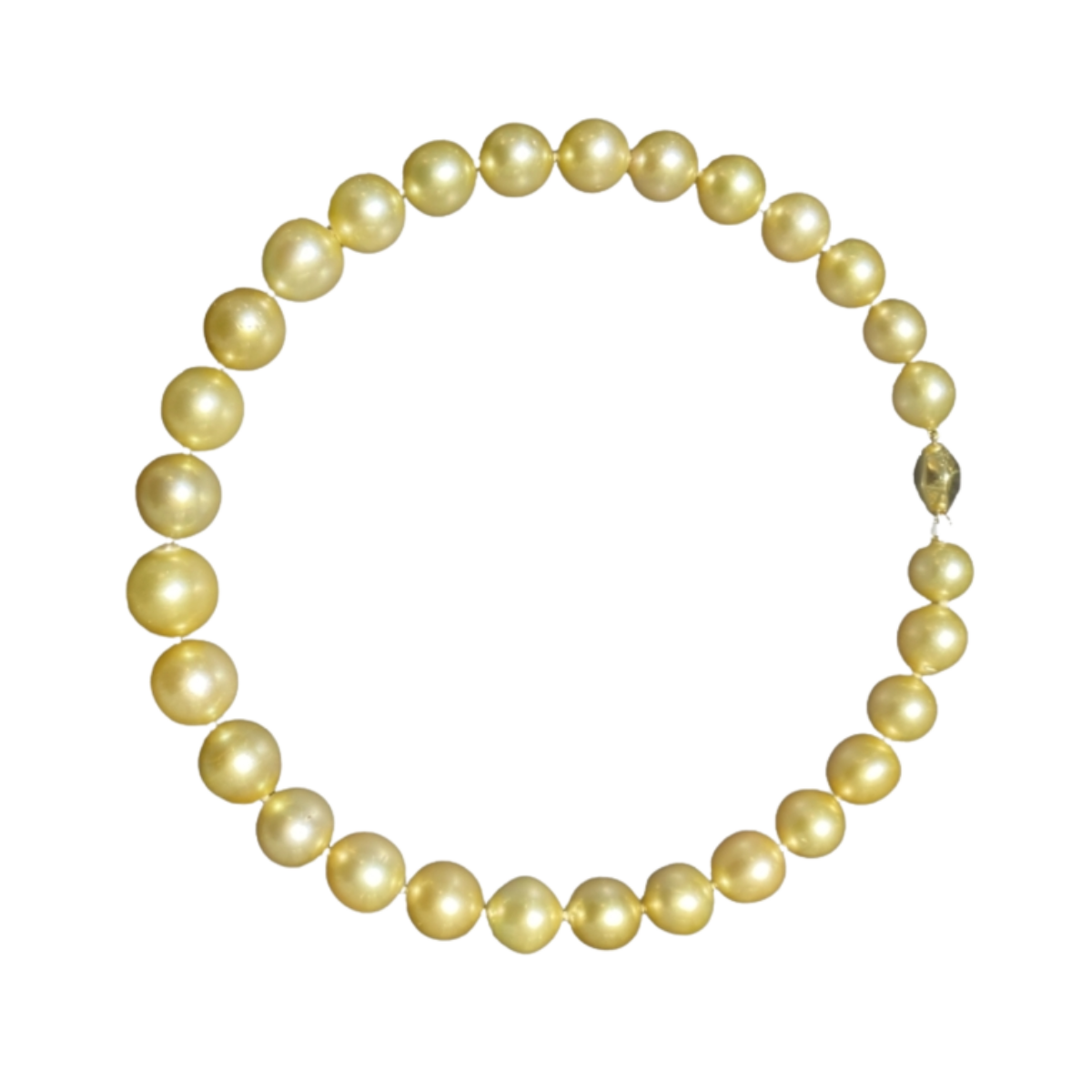 24623 Golden South Sea Pearl Strand Necklace featuring 29 Golden South Sea Pearls measuring 12.2 16.5mm with Yellow Gold Clasp