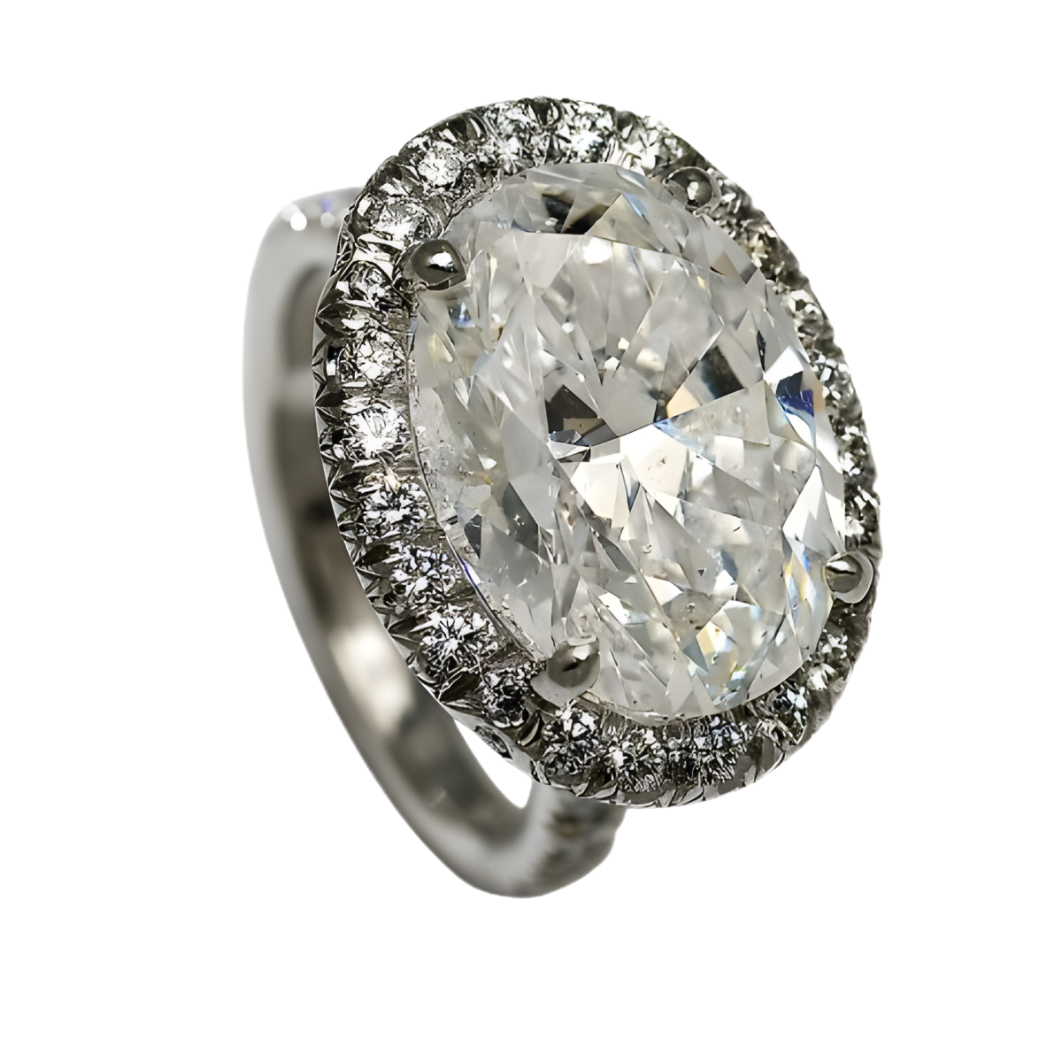 The Dynasty Ring